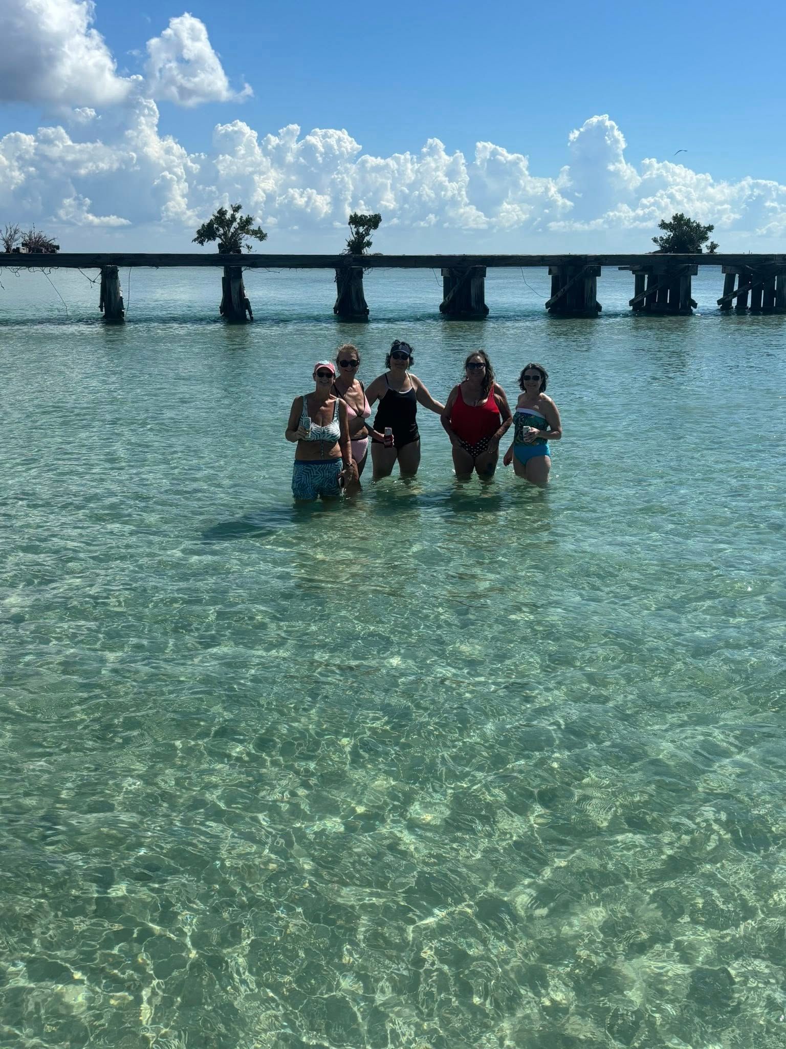 Boca Grande Eco Tour & Cayo Costa Shelling Trip