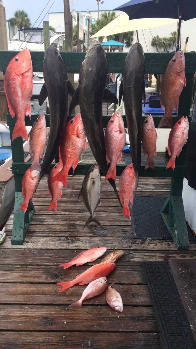 7 Hour Bottom Fishing Gotta Believe Panama City