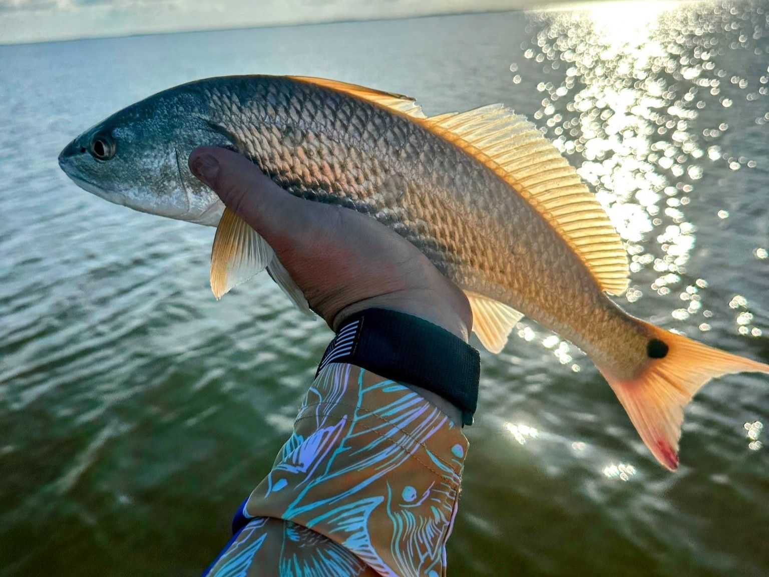 Premium Galveston Redfish Charter | Daniel Hayes