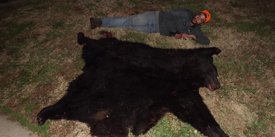 Top-Rated NC Bear Hunting for Beginners
