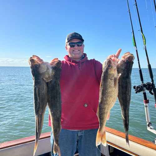 Fin Addict Fishing Charters