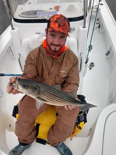 Striped bass caught while fishing