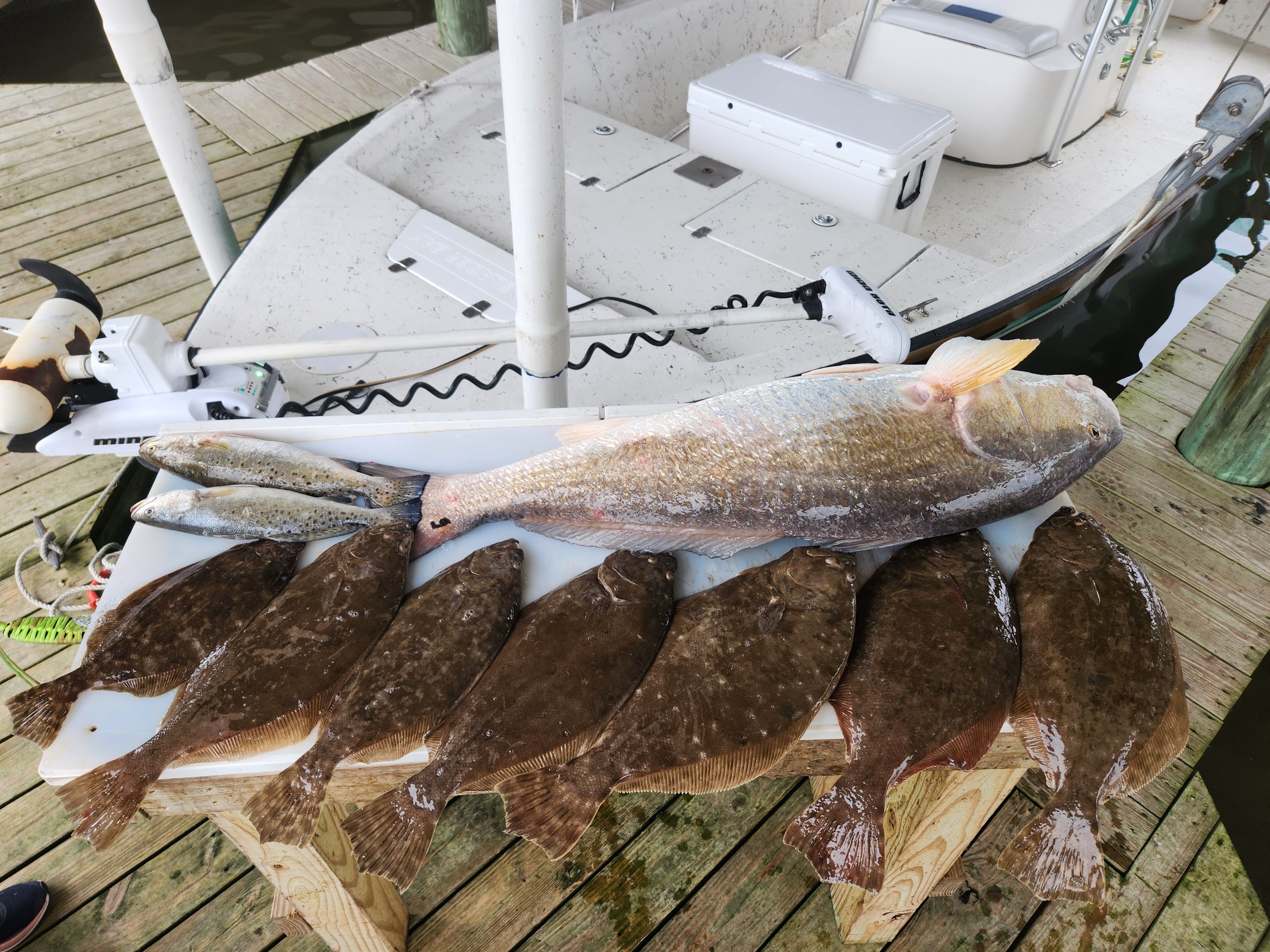 Speck Dat Charters Half Day Inshore Charter(4hr Trip) fishing Inshore