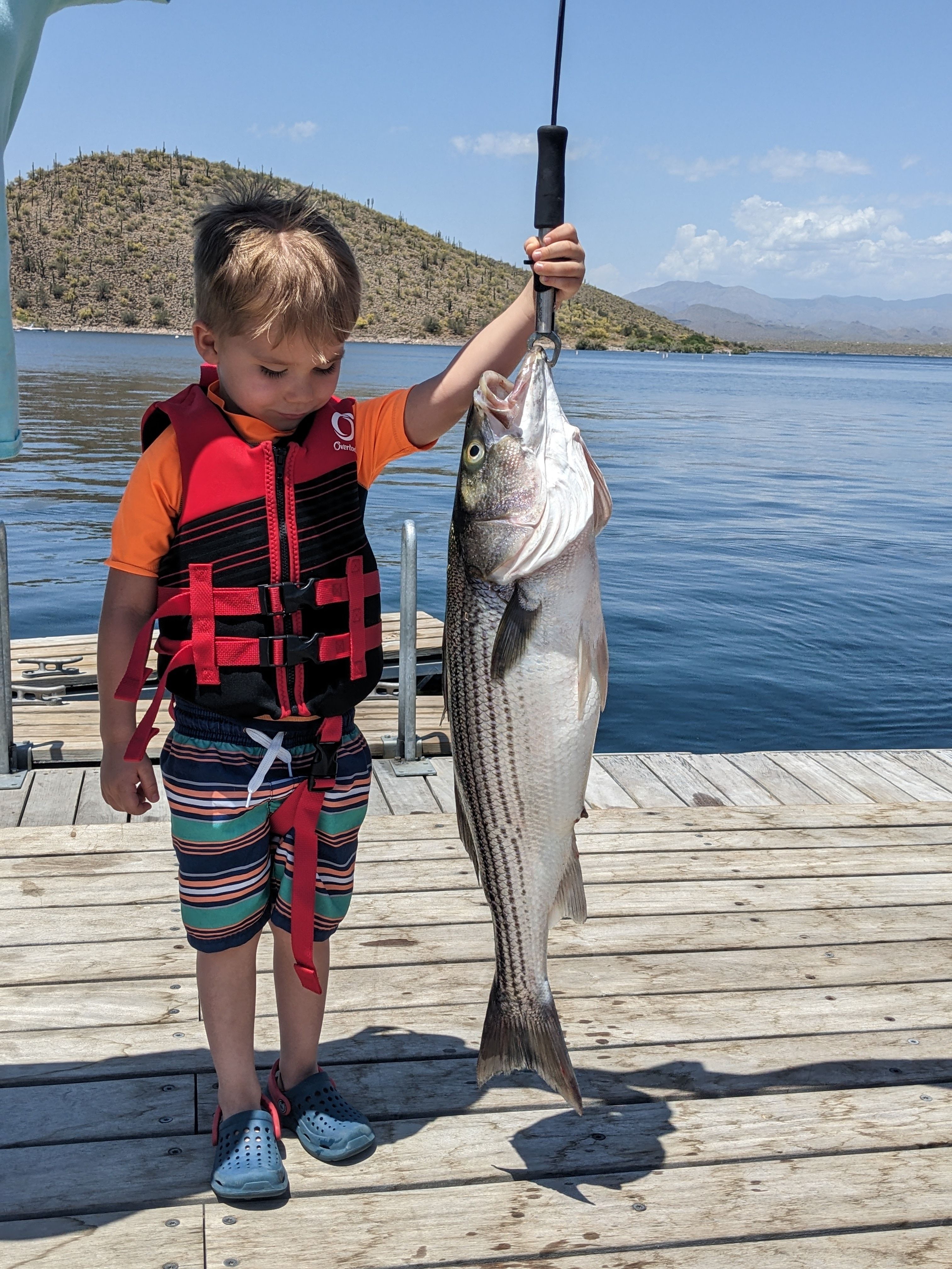 Lake Pleasant Fishing Reports