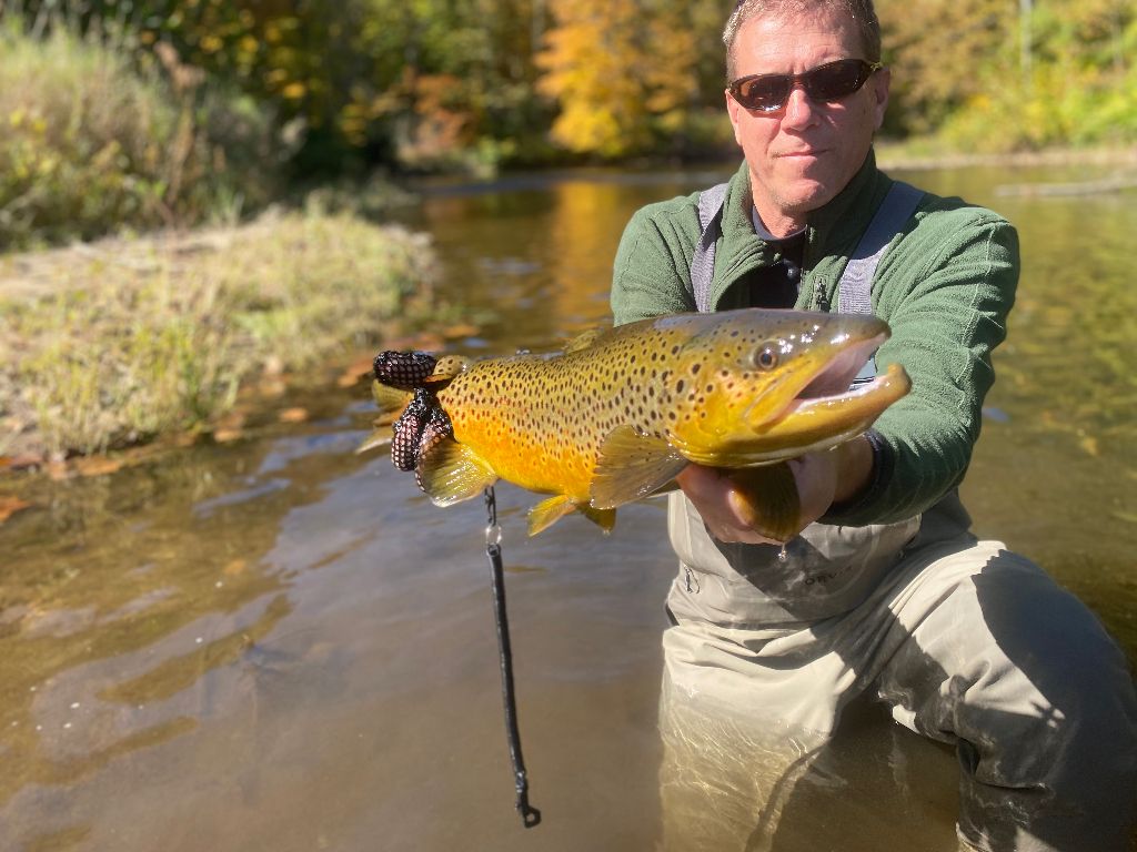 Big Fall Brown Southern Vermont