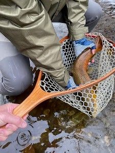 Vermont Flyfishers Fly Fishing Guide Vermont | Guided Fall Big Brown Trout Float Trip  fishing River