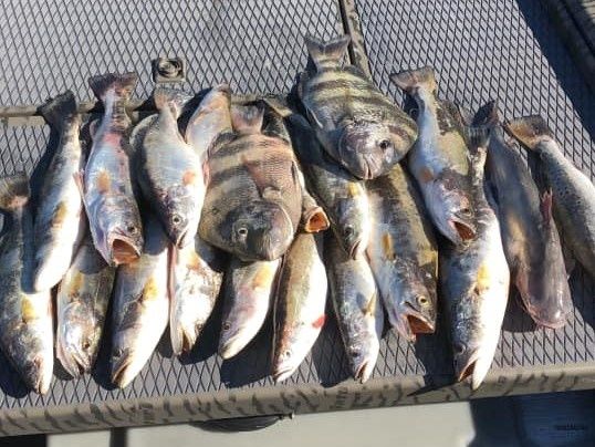 Louisiana Inshore Fishing Trip