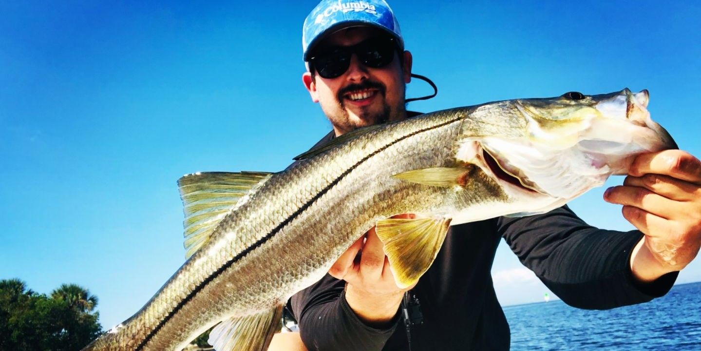 Red White & Reel Charters Tampa Fishing Charters | 4 Hour  Afternoon Inshore Trip	 fishing Inshore