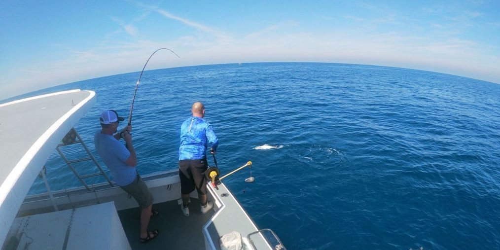 Defiant Offshore Fishing Charters Fishing Charter Cape Canaveral | Shark Fishing Trip fishing Inshore
