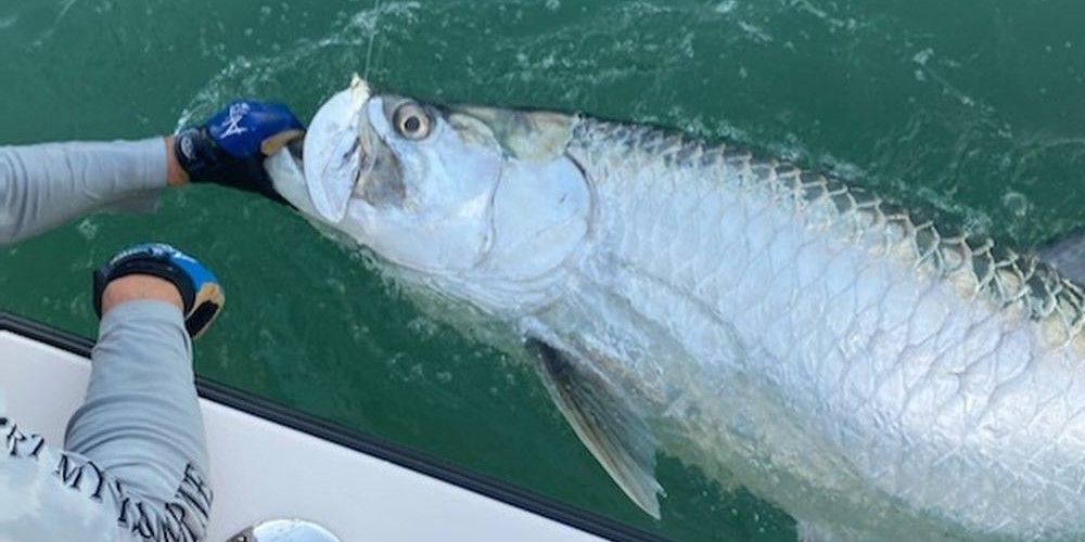 Gulf Coast Charter Service Fort Myers Fishing Charters fishing Inshore
