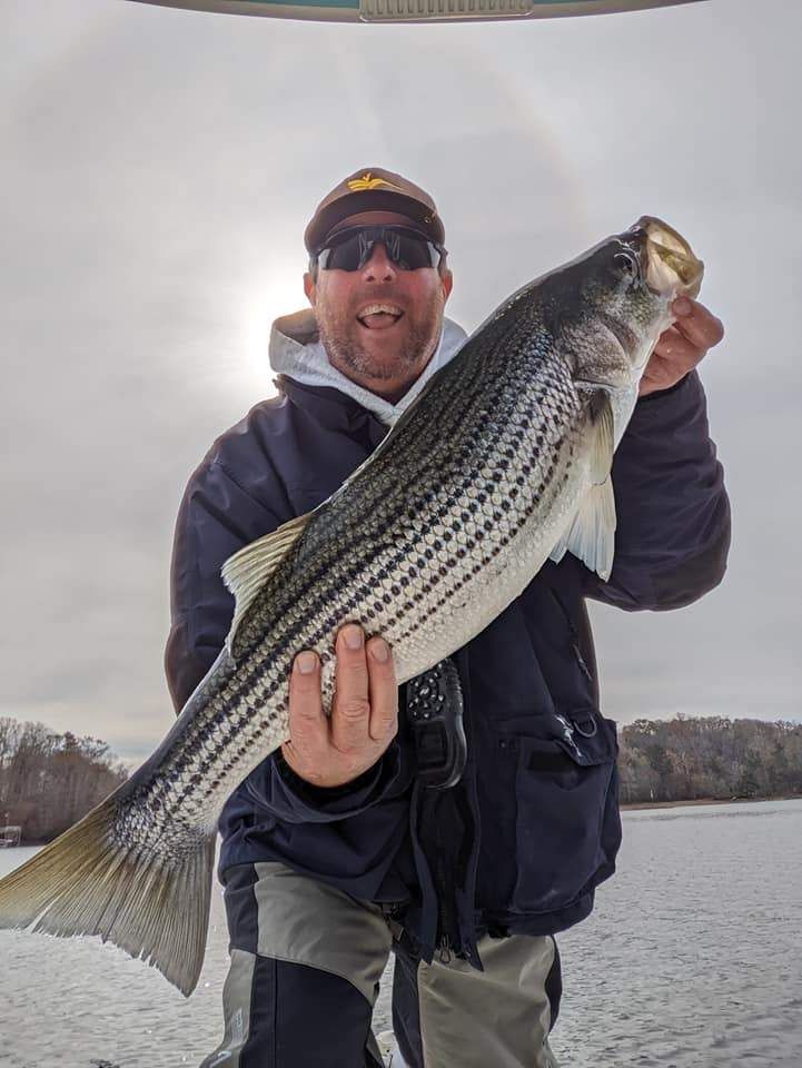 Striped Bass Caught In lake lanier fishing spots