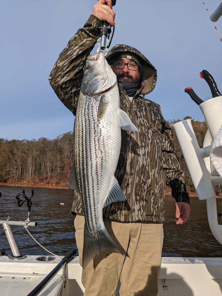 Caught the famous lake lanier fish, striped bass