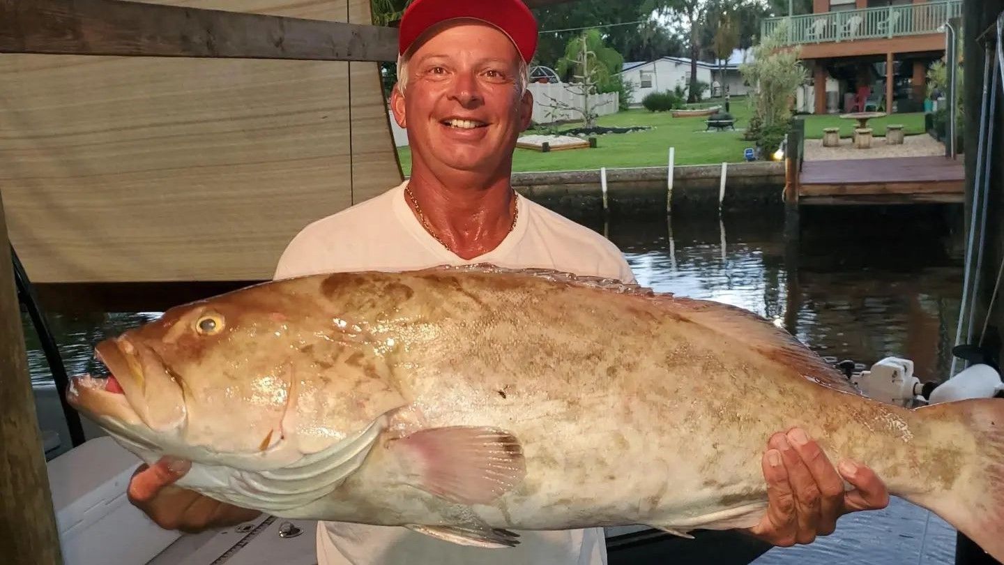 Fishin Magician Inshore Charters Fishing Charters in Tampa | 8 Hour Charter Trip fishing Offshore