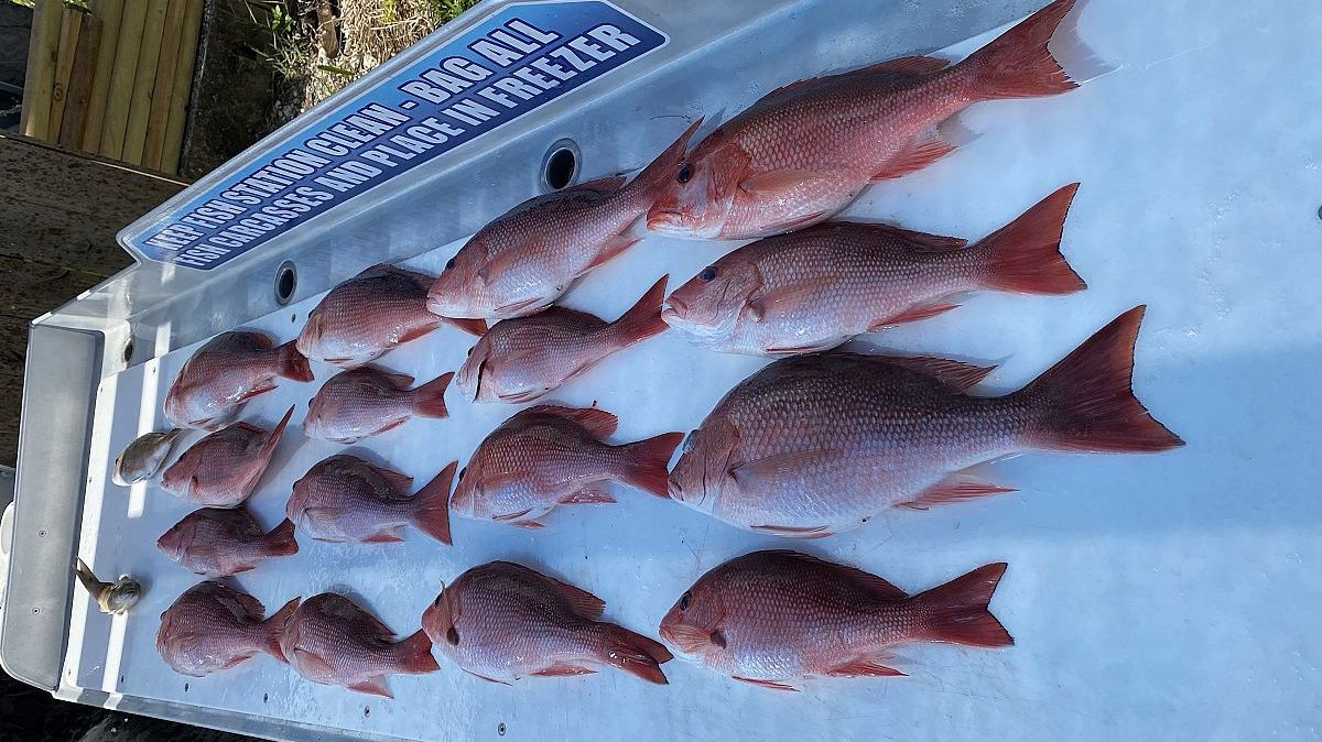 RAD-I-Kal Charters Florida Fishing Charters Destin | 5HR Wrecks Fishing fishing Wrecks