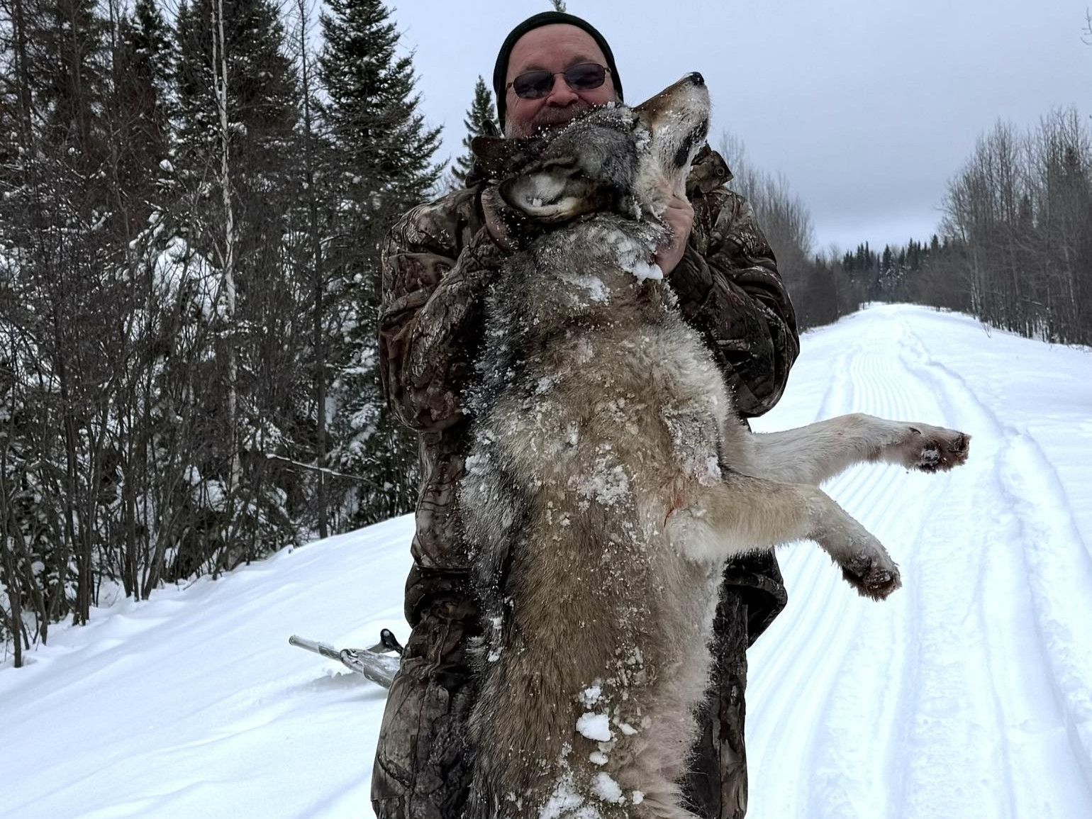 Wolf Hunting Kapuskasing Ontario Kapriver
