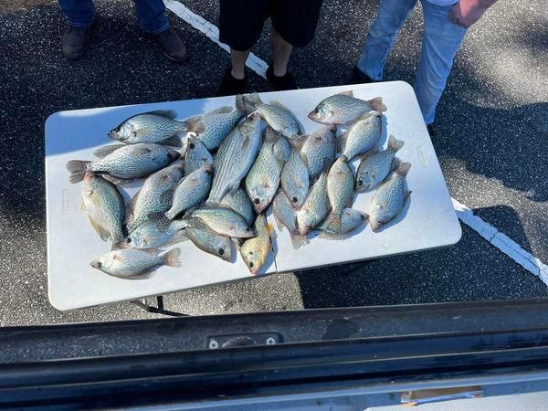 Lake allatoona fishing report sale
