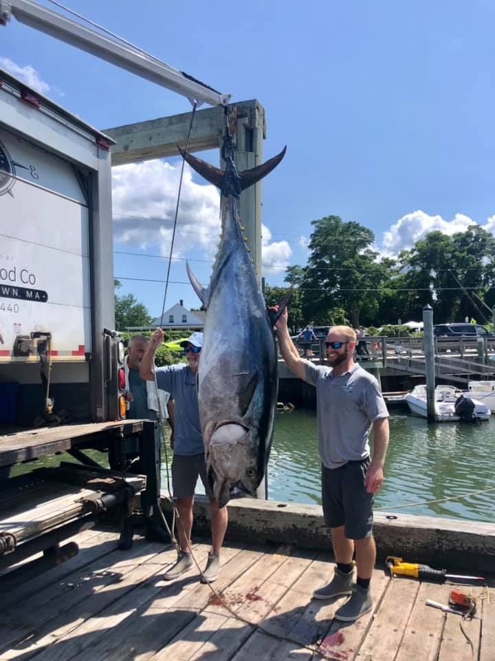 Unchained Sportfishing Striper And Tuna Trip in Orleans MA | 10 HR Private Trip fishing Offshore