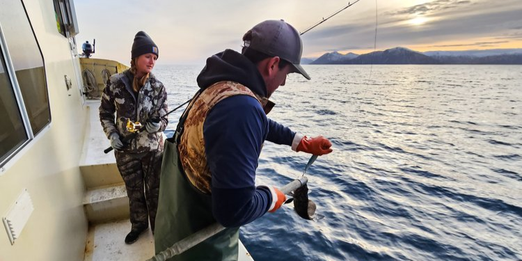 Alaskan Outlaw Adventures Sitka AK Fishing Charters | 5 Day Trip fishing Inshore