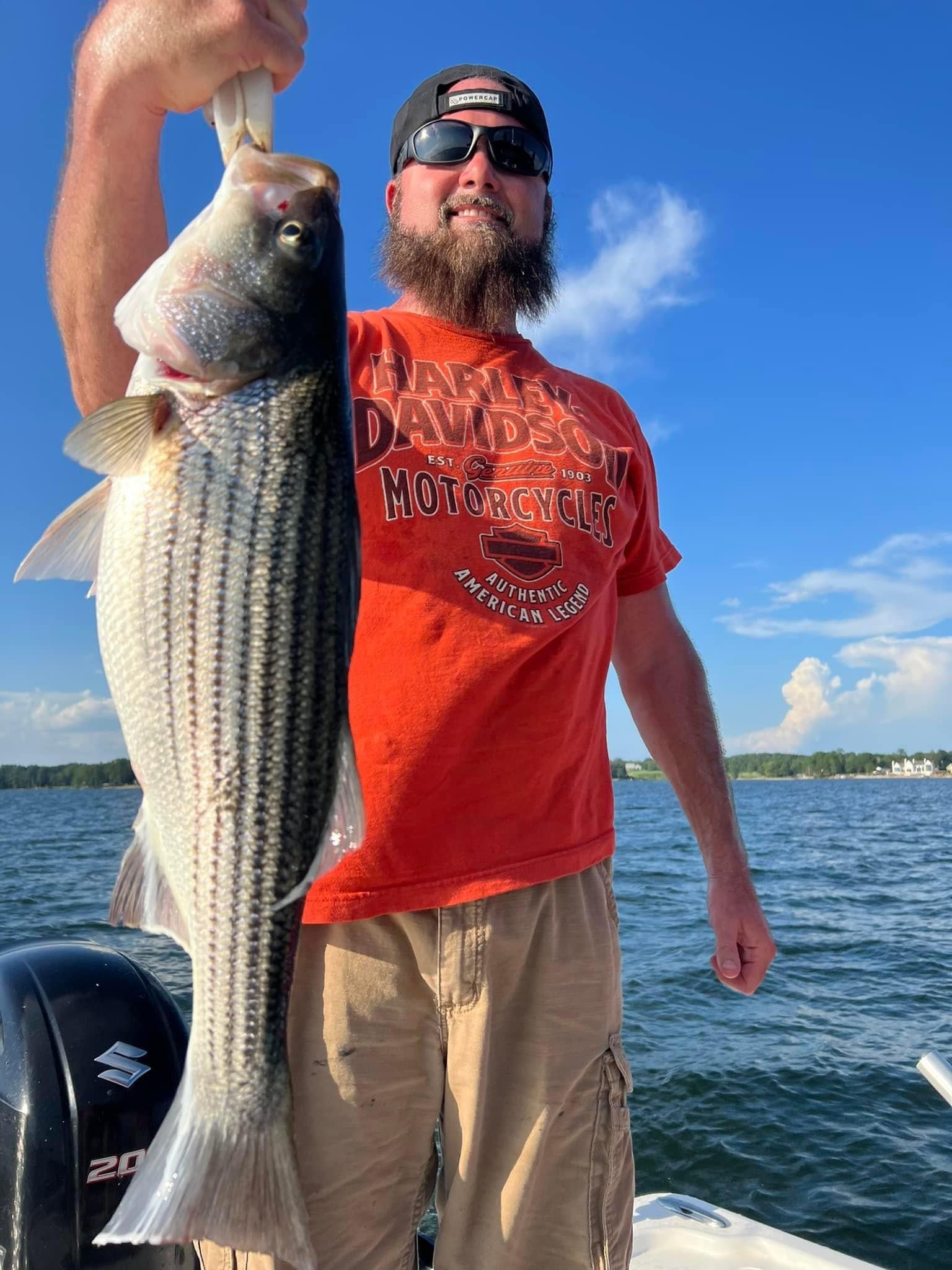 Fish-Species