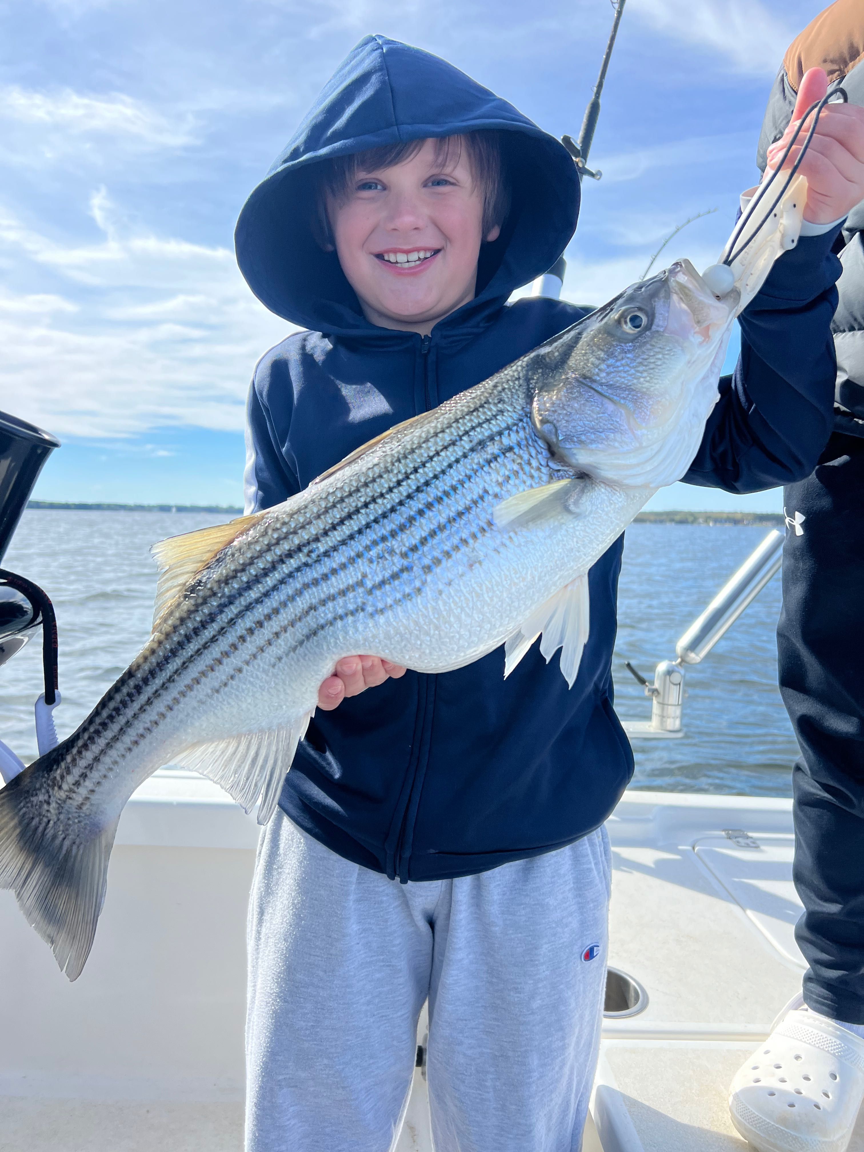 Fish-Species