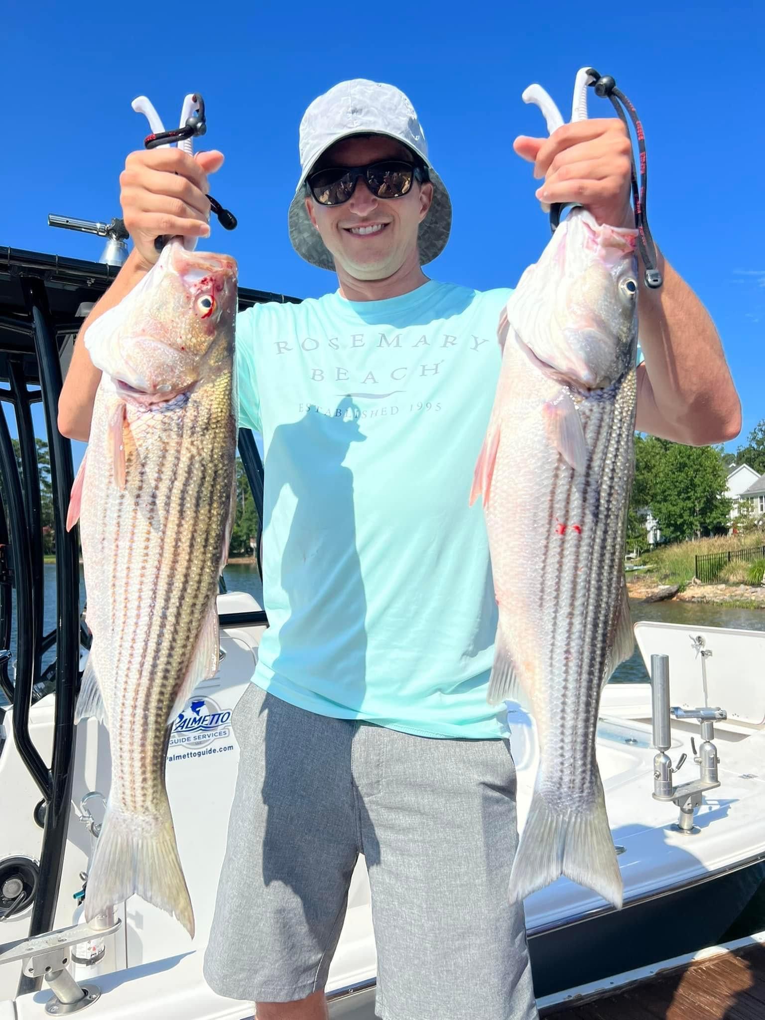 Fish-Species