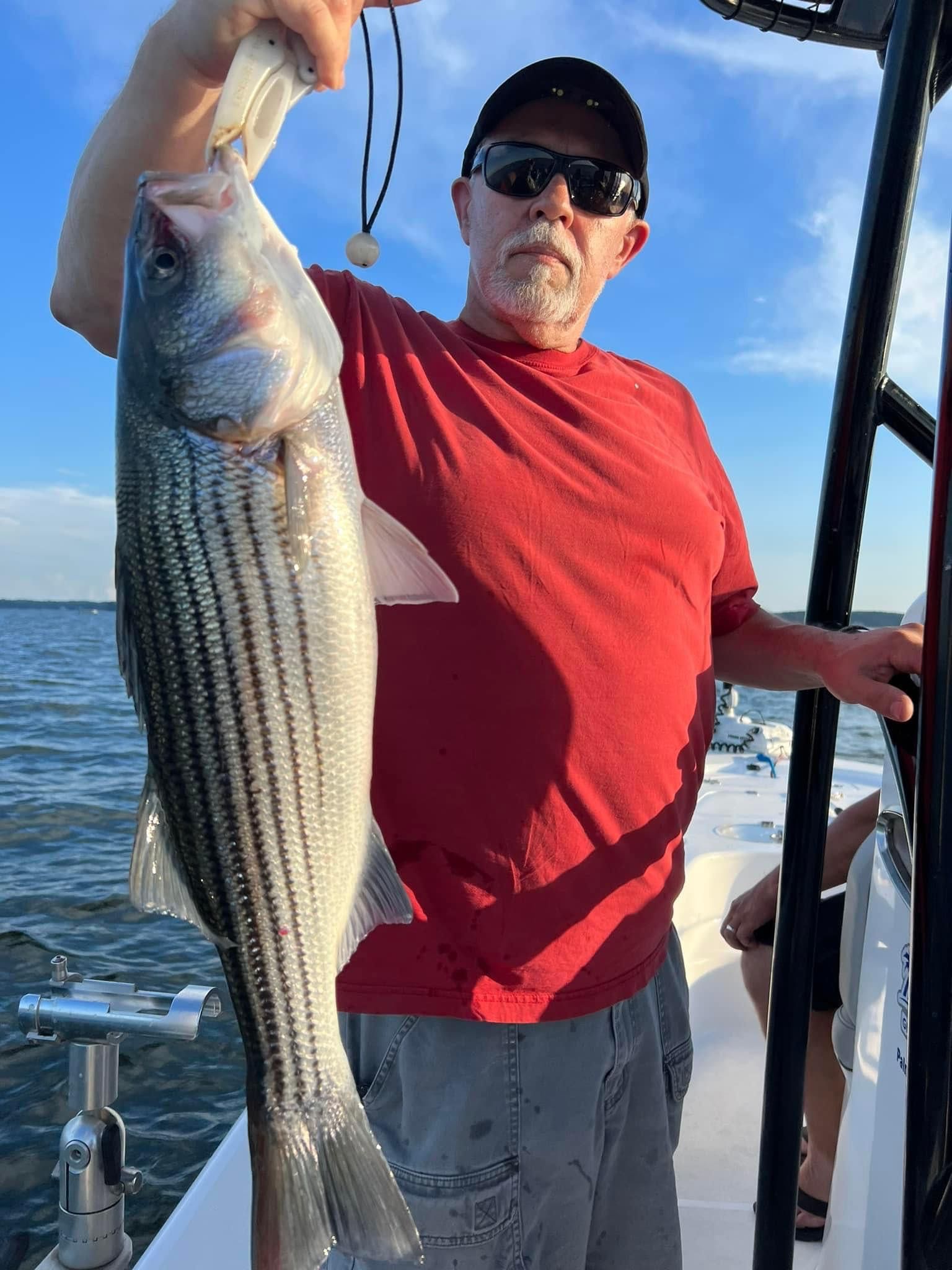 Fish-Species