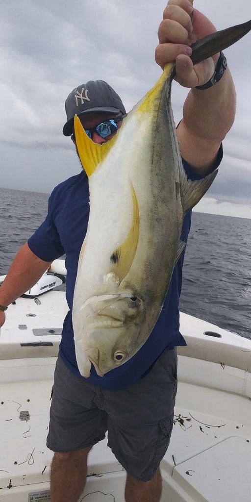 Crevalle Jack Caught in Tampa Bay