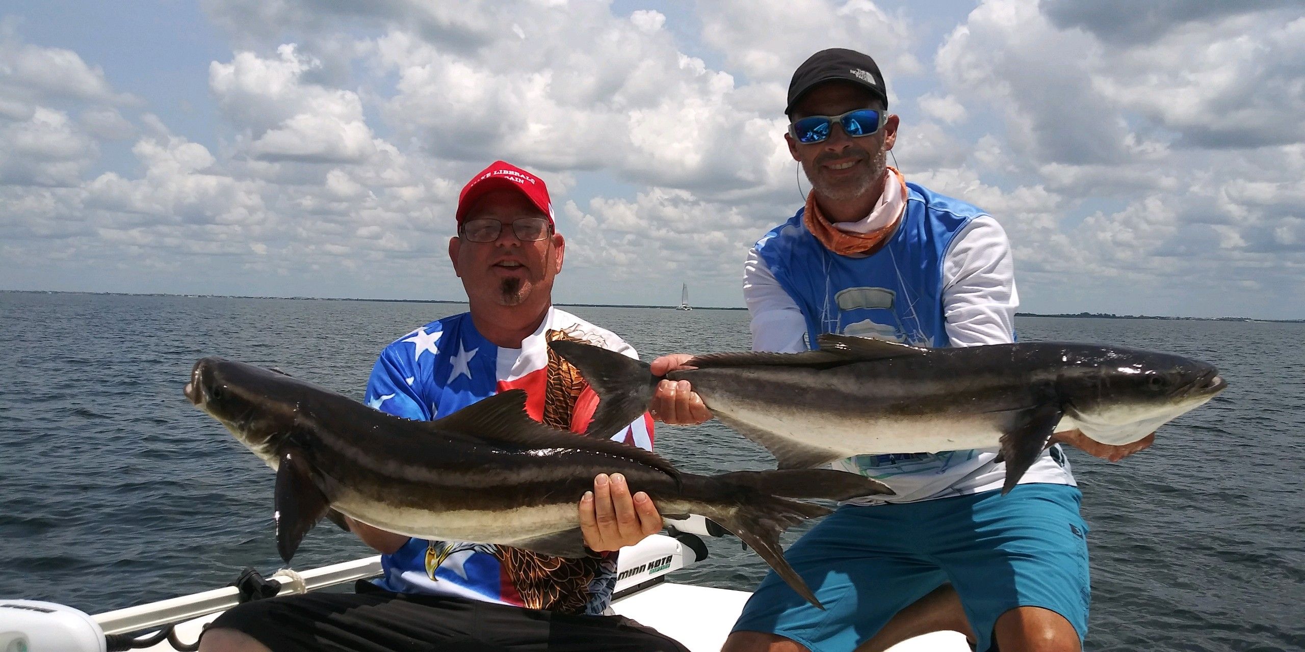 Cobia from Tampa Fishing Charters