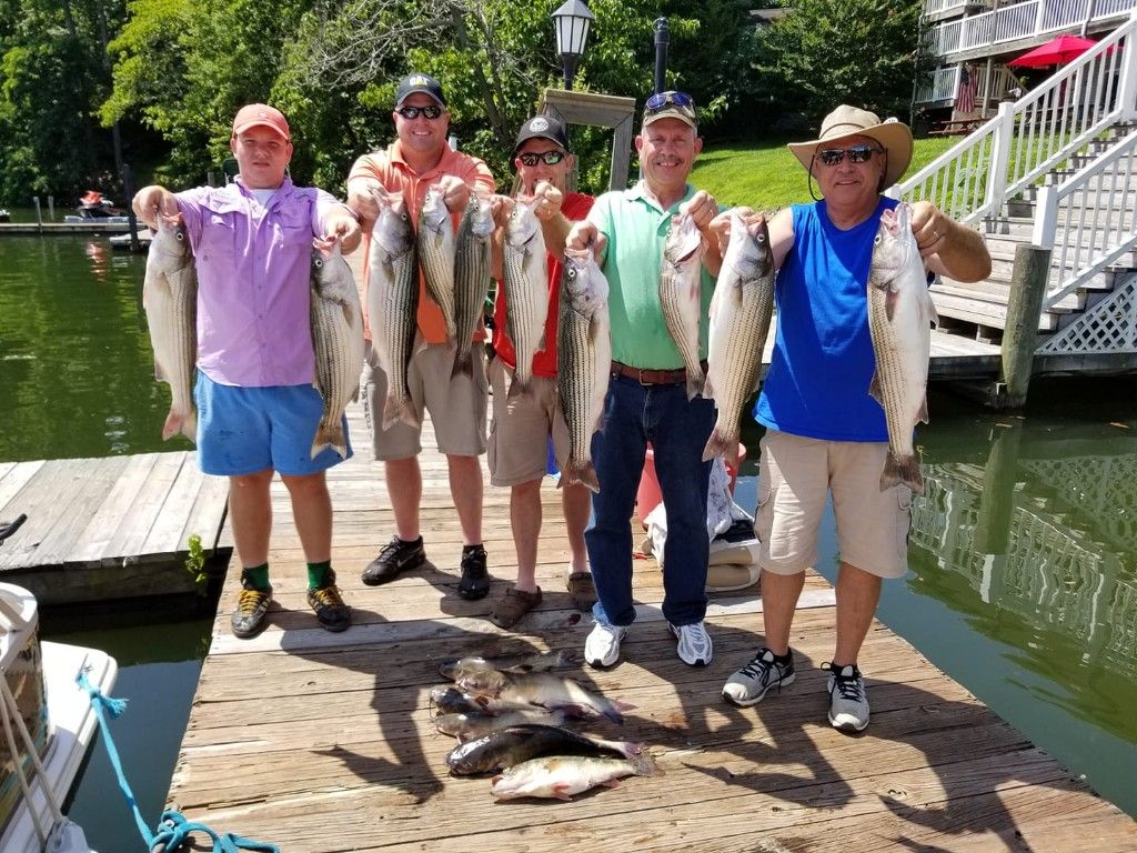 Pullin' Drag Striper Fishing Charter Fish in Smith Mountain Lake fishing Lake