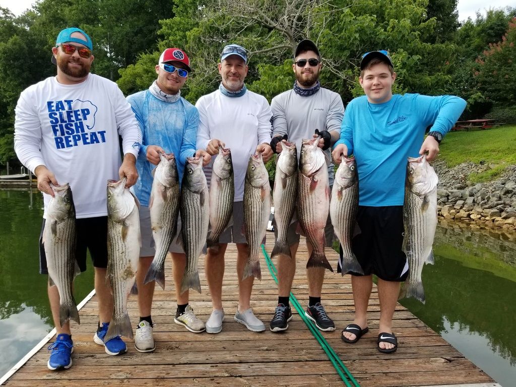 Pullin' Drag Striper Fishing Charter Fishing Smith Mountain Lake fishing Lake