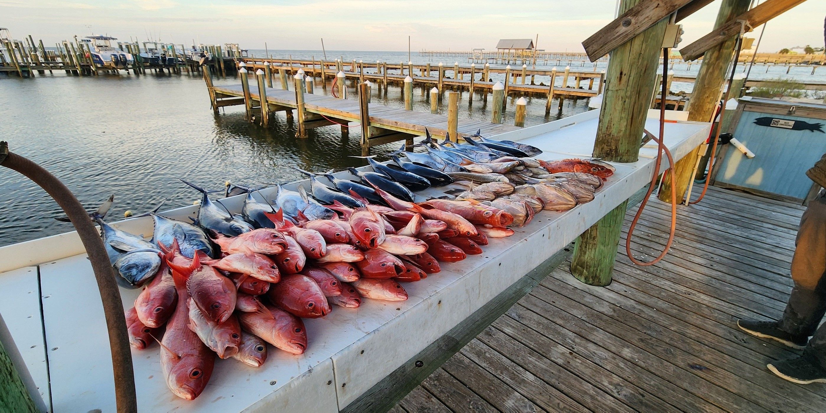 Fort Morgan's Premier 14HR Deep Drop Charter