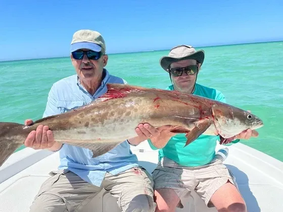 Sarasota Family Fishing Charters 3-Hour Sunset Trip - Sarasota, FL fishing Inshore