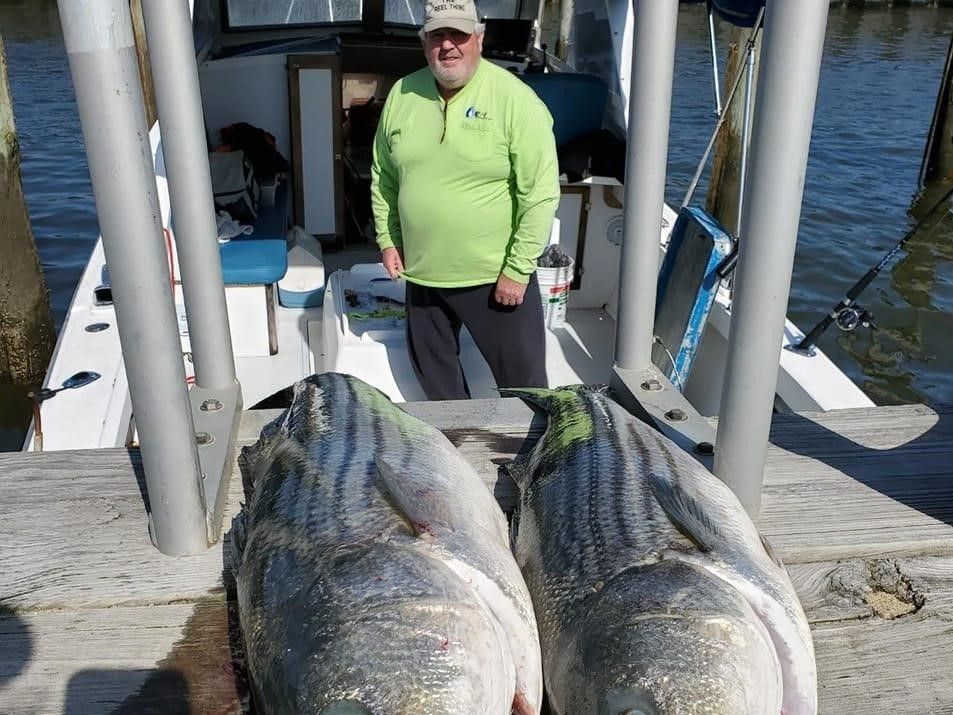 Top Rated Striped Bass Charter Sandy Hook NJ