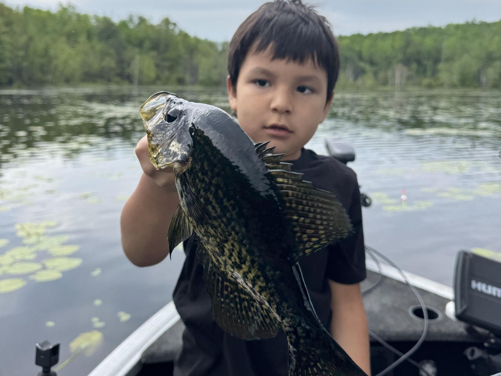 Kid-Friendly Fishing Trip on Forest County Lakes