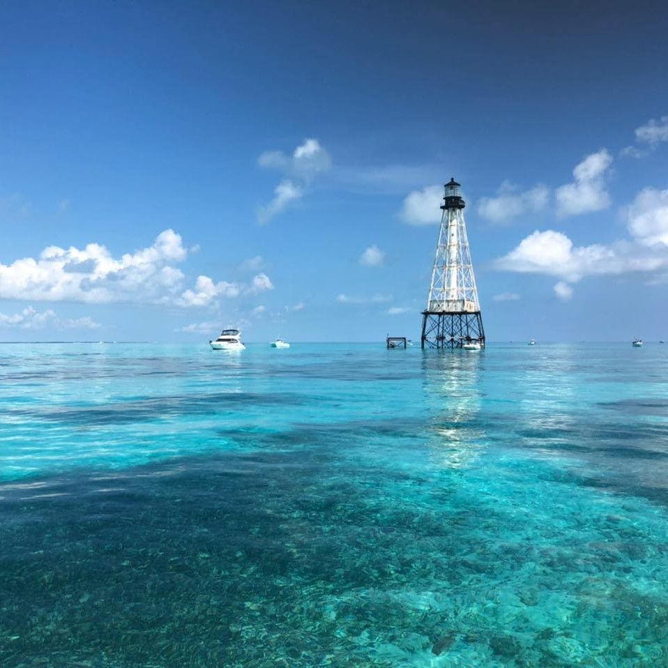 Top-Rated Islamorada Sandbar & Snorkel Adventure