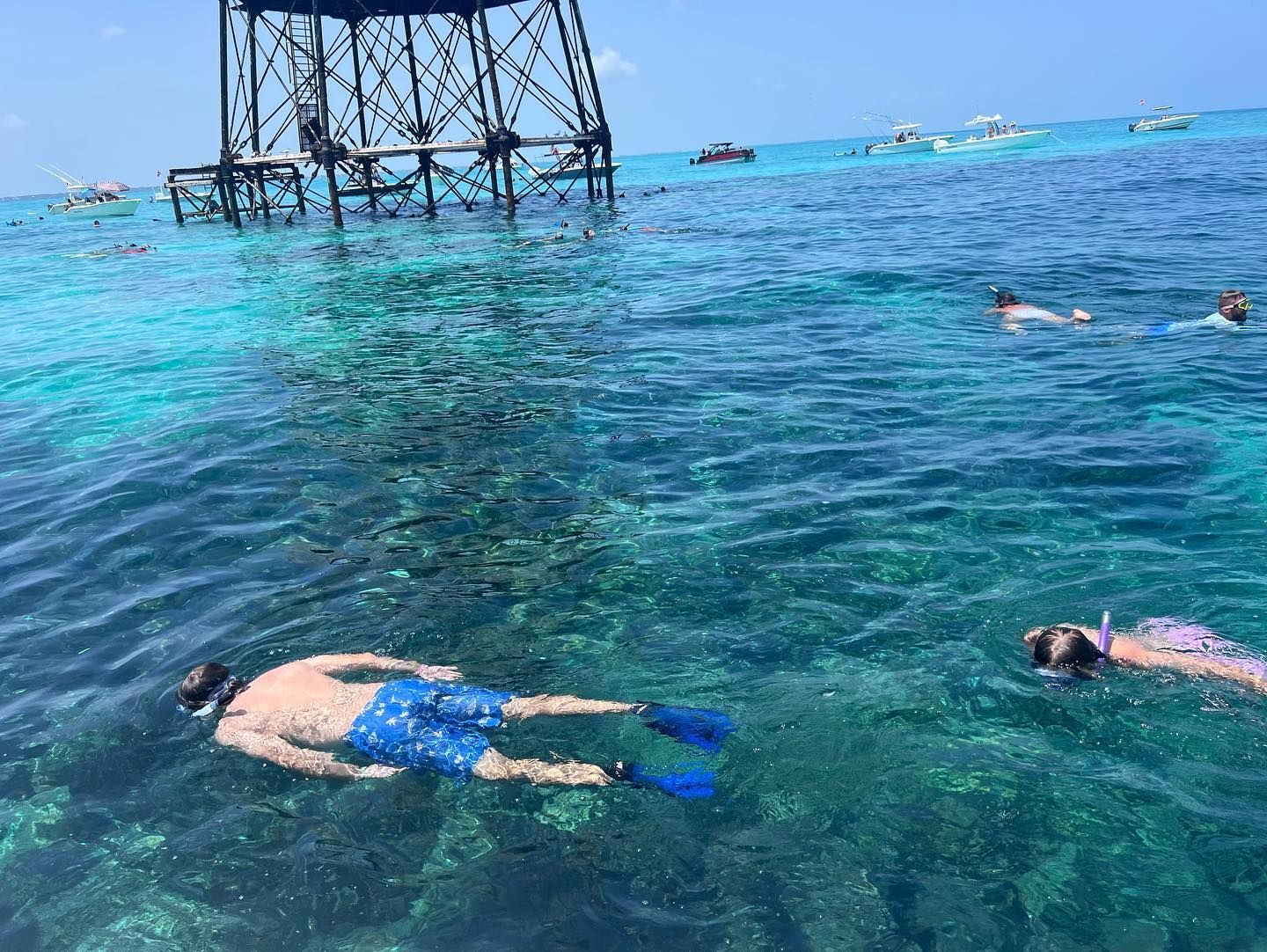 Premium Islamorada Snorkel & Sandbar Adventure