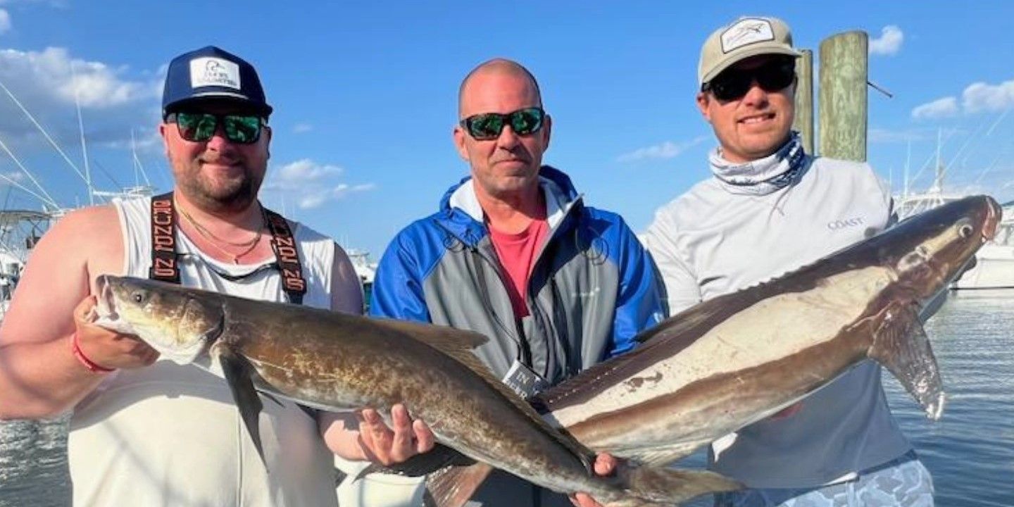 Expert Guided Chesapeake Bay Fishing Charter