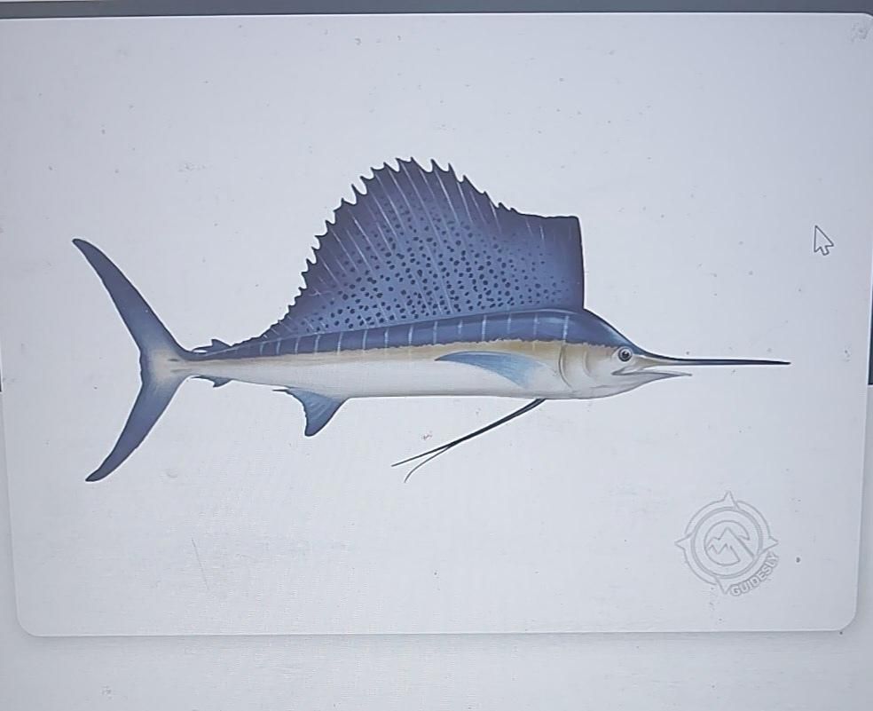 Motorboat (engine-powered)