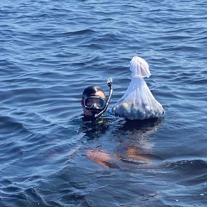 Southern Fried Charters Steinhatchee Scalloping | Half Day Scalloping Trips In Florida tours Underwater