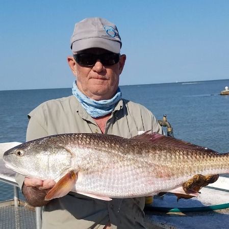 SharkTooth Charters
