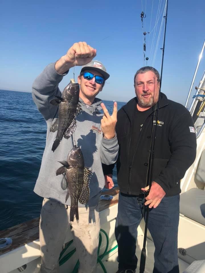 Black Sea Bass in Belmar, NJ