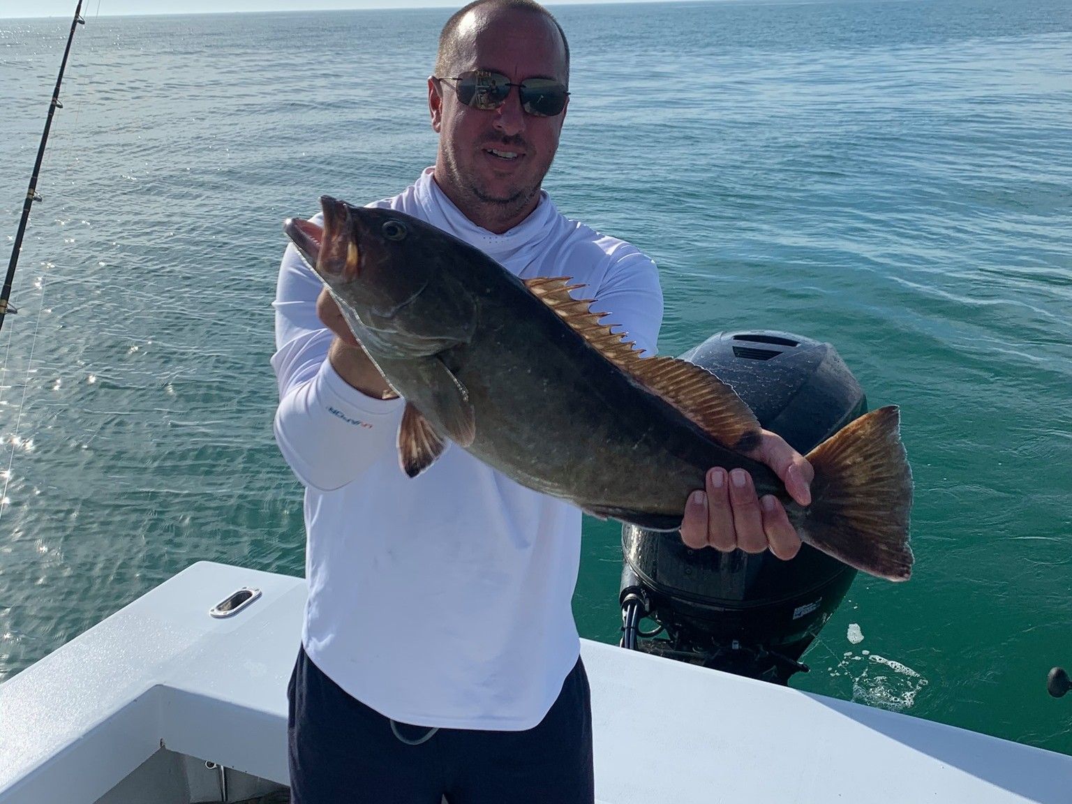 Full Day Guided Trip in Clearwater