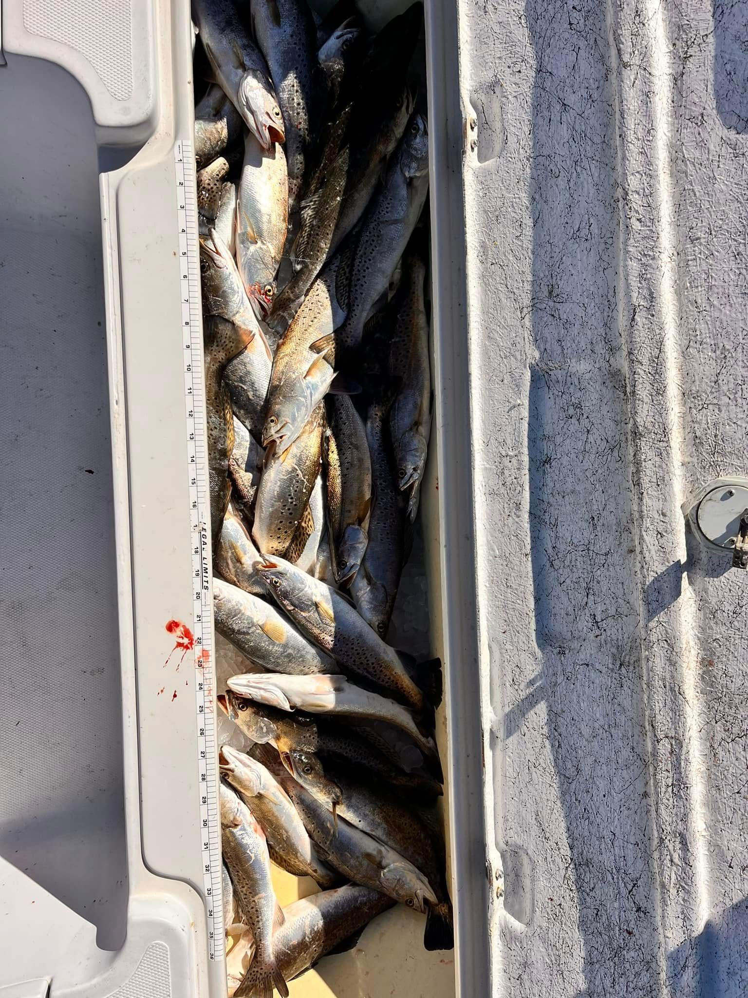 Family Fishing Venice Louisiana Reel Rusty