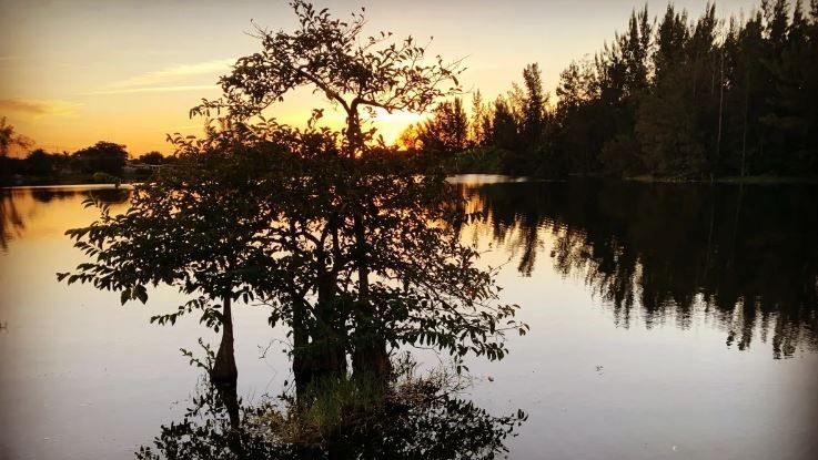 Swampdog Tours Everglades Kayak | 3HR Shared Trip tours Scenic