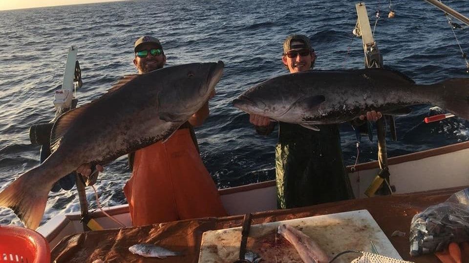 Book Bloodline Charters on Guidesly