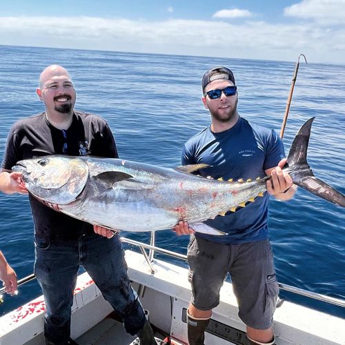 Mystic Queen Sportfishing