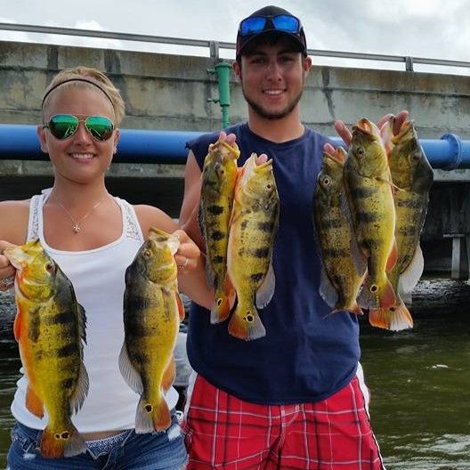 Top-Rated Everglades Peacock Bass Lake Fishing