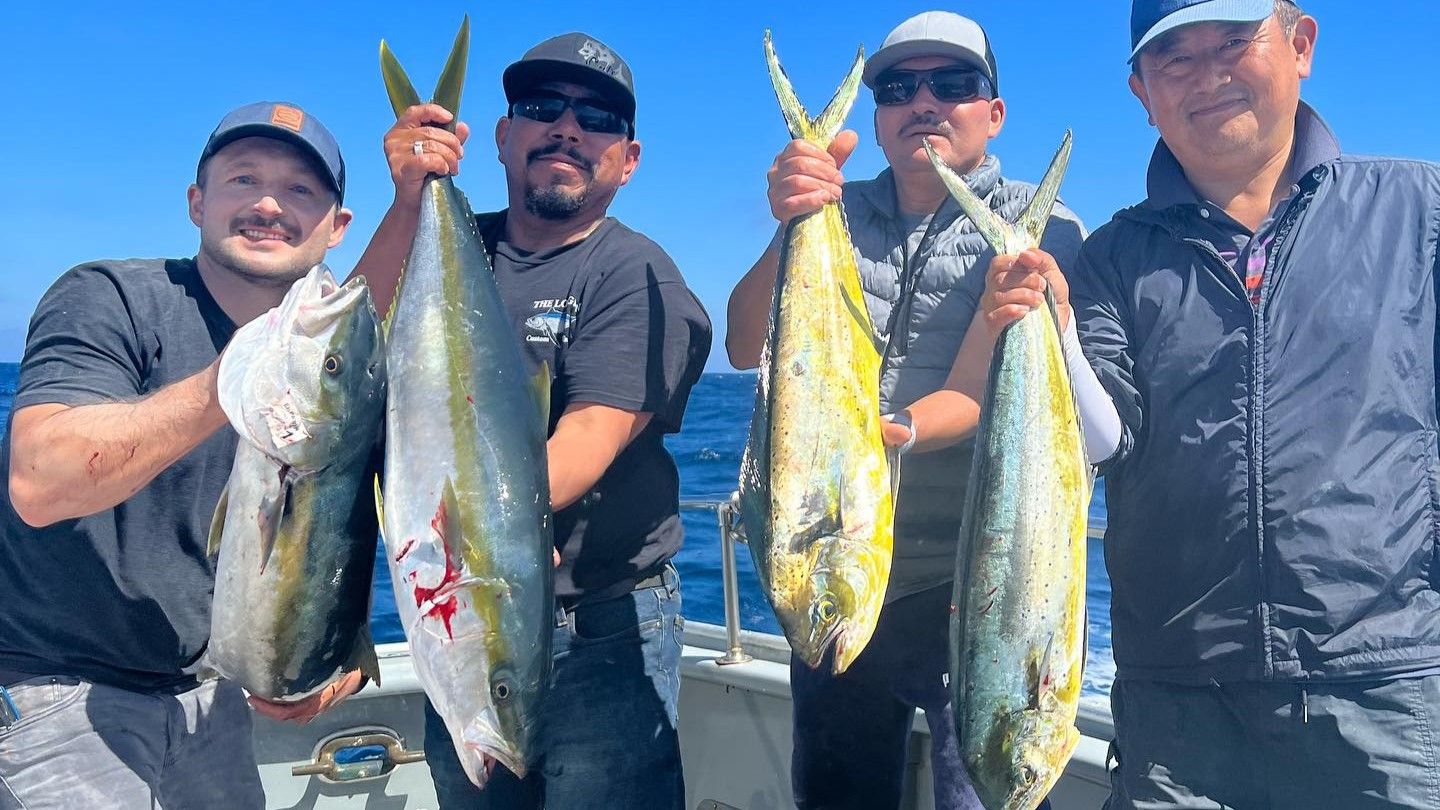 El Patrón Sportfishing Charter Fishing California | Twilight Fishing Trip fishing Inshore