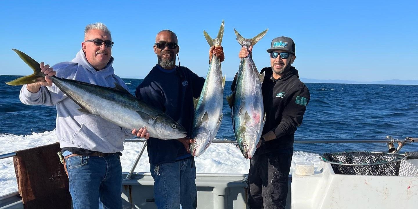 El Patrón Sportfishing Fishing Charters in California | 3/4 Day Fishing Trip fishing Inshore