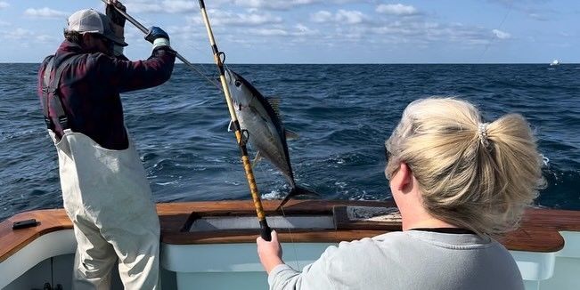 Roankoe Sportfishing Wanchese NC Fishing Charters | Private 6 Hour Trip Nearshore fishing Inshore